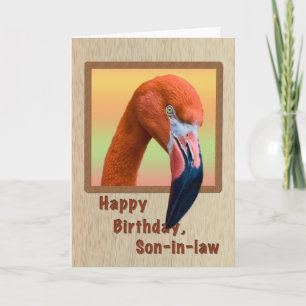 Födelsedag, svärson, Flamingo Bird Kort
