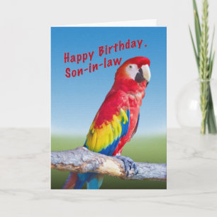 Födelsedag, svärson, Macaw Parrot Kort
