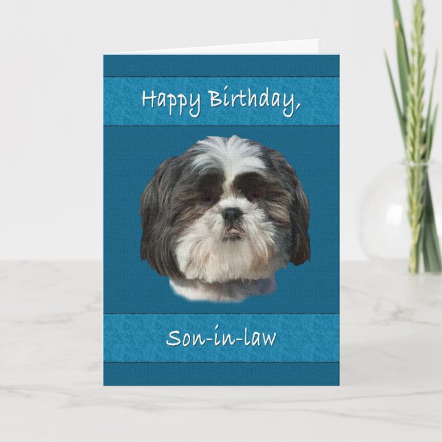 Födelsedag, svärson, Shih Tzu Hund Kort (Framsida)