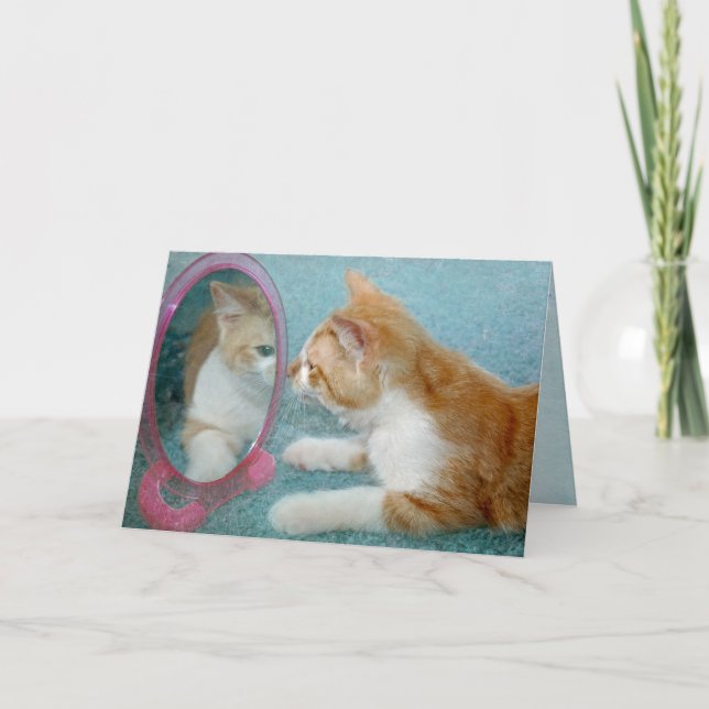 Födelsedag Tabby katt blir gammal Humor Kort (Framsida)