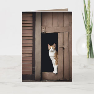 Födelsedag Tabby katt i Shed Doorway Kort