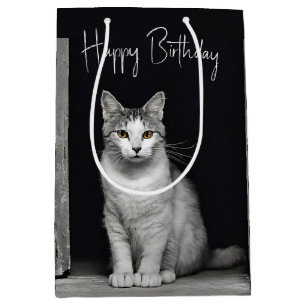 Födelsedag Tabby katt vid Doorway