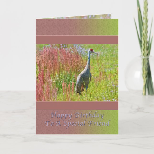 Födelsedag, vän, Sandhill Crane Bird Kort (Framsida)