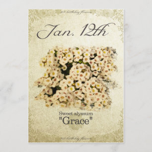 Födelsedagblommor i januari 12:e ’Sweet alyssum’ Kort