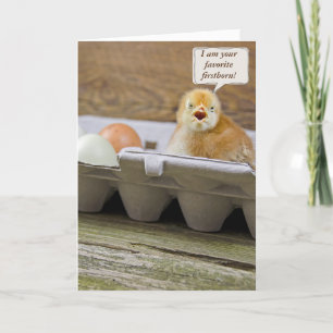 Födelsedagchicken i ägg paketerar från firstborn kort