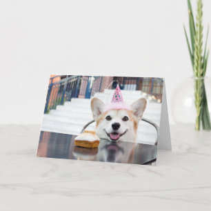 FödelsedagCorgi Kort