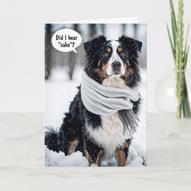 Födelsedagen Australian shepherd i Snöflingor Kort (Framsida)