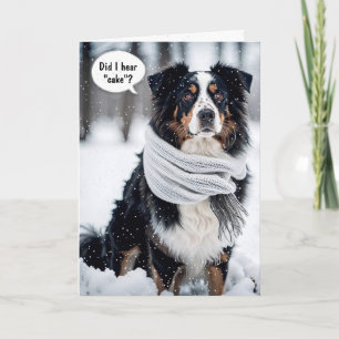 Födelsedagen Australian shepherd i Snöflingor Kort