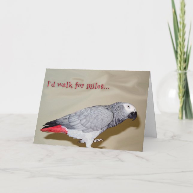 Födelsedagen går för Miles Kort (Framsida)