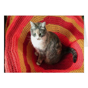Födelsedagen Hälsning-katt på det afghanska skydds Hälsningskort