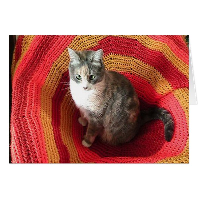 Födelsedagen Hälsning-katt på det afghanska skydds Hälsningskort (Framsidan Horizontal)