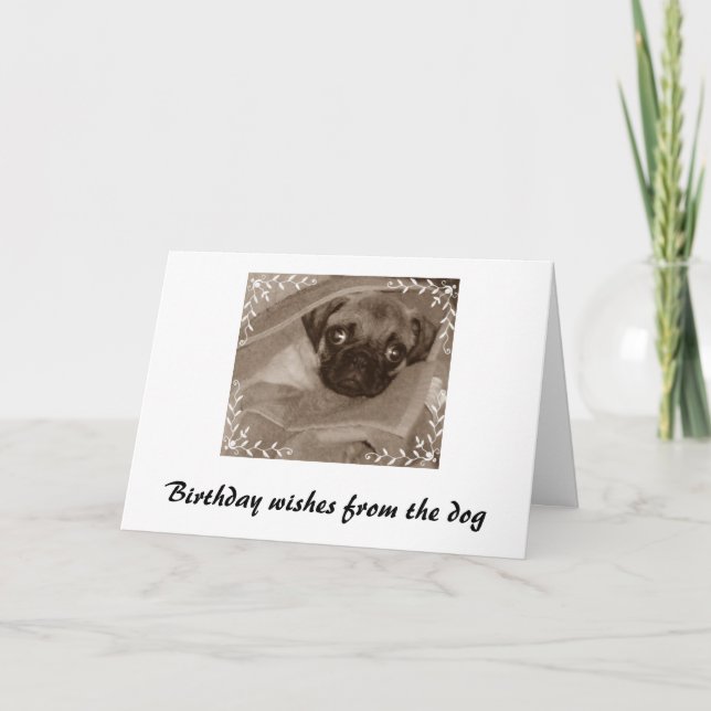 Födelsedagen i önskemål från hund kort (Framsida)