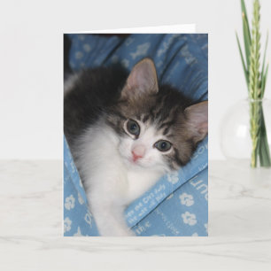 Födelsedagen önskar "spinnandet--fectfödelsedag ", kort