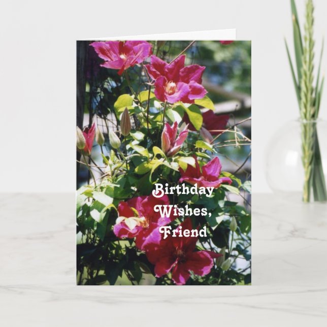 Födelsedagen önskar, vännen, nätt Clematisblom. Kort (Framsida)