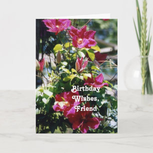 Födelsedagen önskar, vännen, nätt Clematisblom. Kort