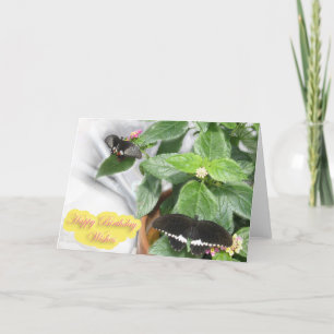 Födelsedagen Önskemål-Butterfly Kort