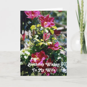 Födelsedagen Önskemål, frun, söt Clematis blommar. Kort