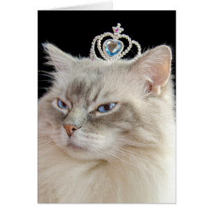 Födelsedagen Ragdoll Cat med smycken krona Hälsningskort