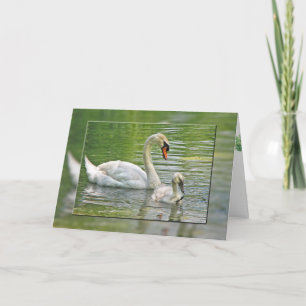födelsedagen svan med cygnet i pond kort