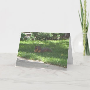 FödelsedagJazzekorre Kort