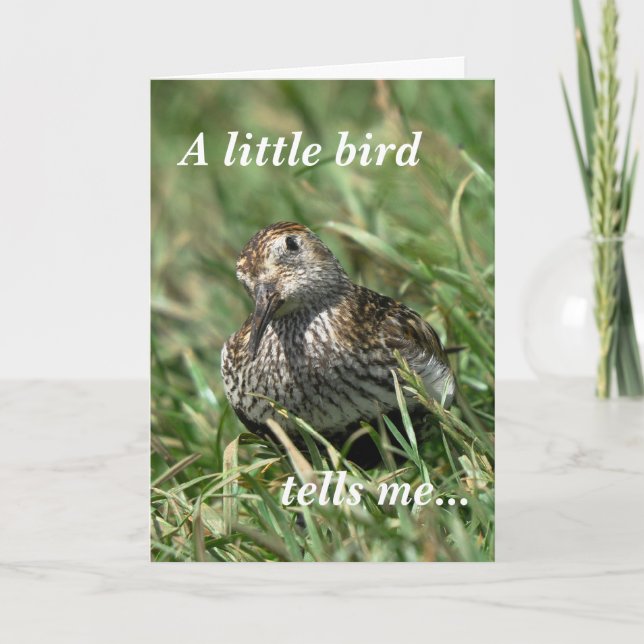 Födelsedagkort: Dunlin Kort (Framsida)