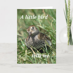 Födelsedagkort: Dunlin Kort