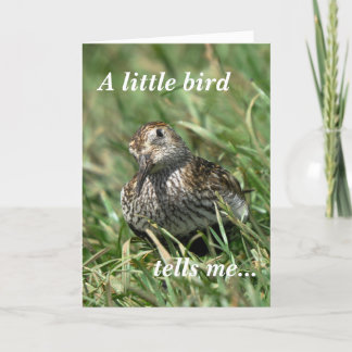 Födelsedagkort: Dunlin Kort
