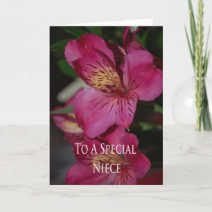 Födelsedagkort för brorsdotter kort