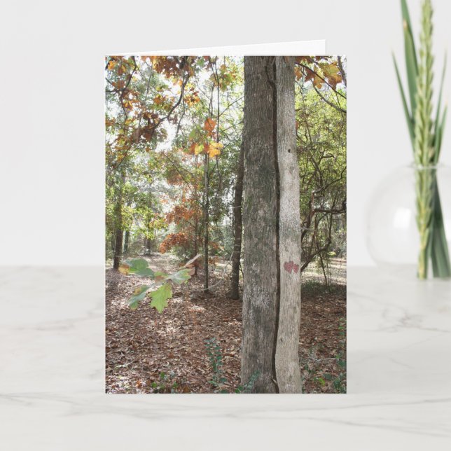 Födelsedagkort för den speciella Son Kort (Framsida)