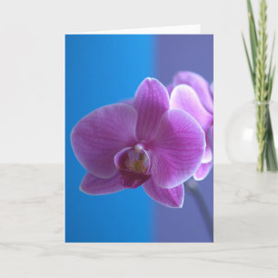 Födelsedagkort för dotter -- Orchid Kort