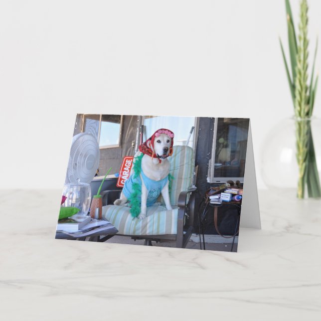 Födelsedagkort, foto av hunden i hårrullear kort (Framsida)