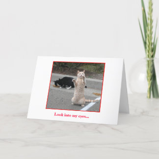 Födelsedagkort Kort