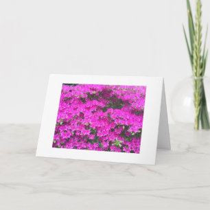Födelsedagkort med blommor kort
