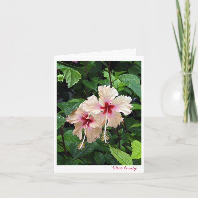 Födelsedagkort vilken skönhet kort (Framsida)