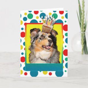 Födelsedagmuffin - australian shepherd - Dustine Kort