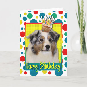 Födelsedagmuffin - australian shepherd kort