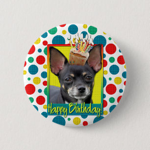Födelsedagmuffin - Chihuahua - Isabella Knapp