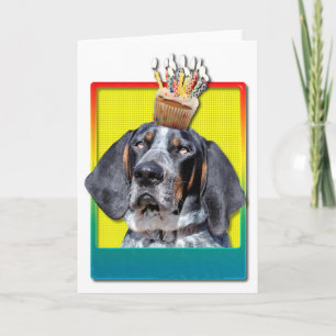 Födelsedagmuffin - den Bluetick coonhounden - Kort