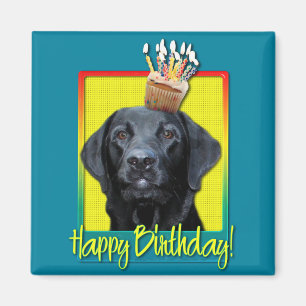 Födelsedagmuffin - Labrador - svart - Gage Magnet