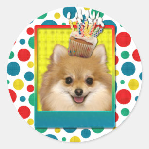 Födelsedagmuffin - Pomeranian Runt Klistermärke