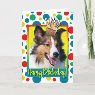 Födelsedagmuffin - Sheltie Kort