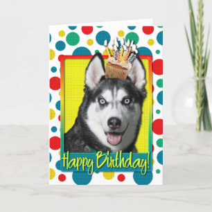 Födelsedagmuffin - siberian husky kort