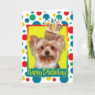 Födelsedagmuffin - Yorkshire Terrier Kort