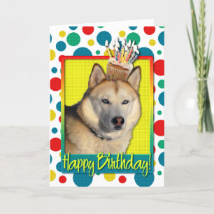Födelsedagmuffinen - siberian husky - förkoppra kort