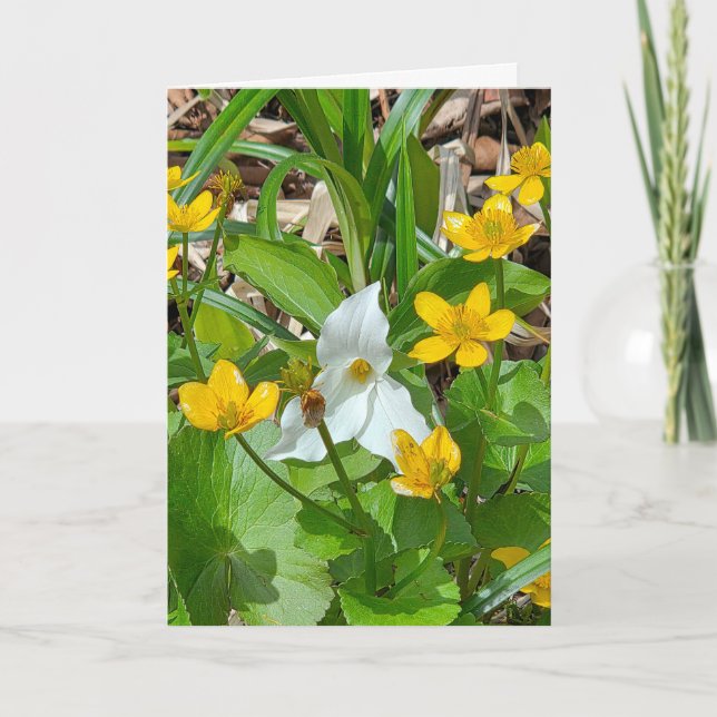 Födelsedags Cabbarblommor och Trillium Kort (Framsida)