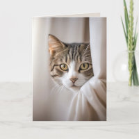 Födelsedags Humor för Katt Bakom Gardin