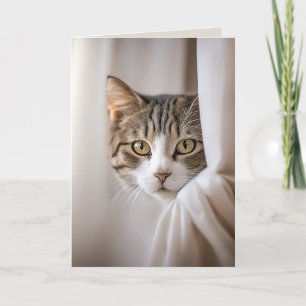 Födelsedags Humor för Katt Bakom Gardin Kort