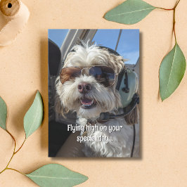 Födelsedags Hund Pilot Aviator Solglasögon Plan Ro Kort