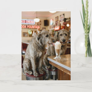 Födelsedags Irish Wolfhounds njuter en milkshake Kort