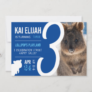 Födelsedags Pojkar Tre År Blå Quokka Australien Fo Inbjudningar